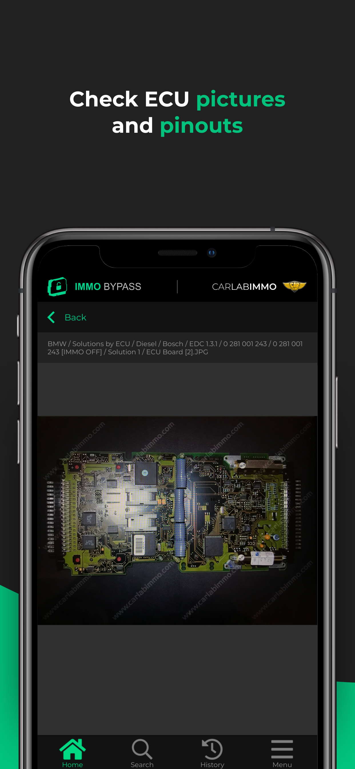 Immo Bypass