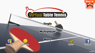 Virtual Table Tennis Screenshot