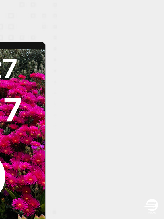 Chronometer Lite iPad screenshot 4 - Productivity app