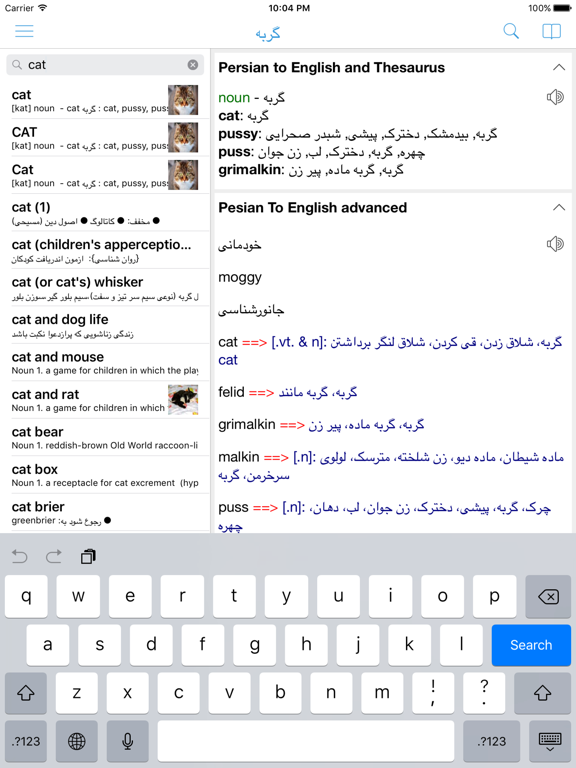 Screenshot #4 pour Persian Dictionary - Dict Box