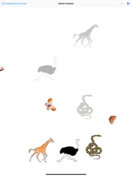 Animerte ville dyr ipad bilder 3