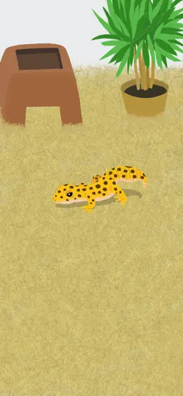 Game screenshot My Gecko -Virtual Pet Game- mod apk