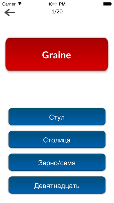 Russian/French Verbs Screenshot