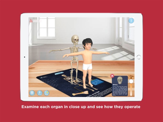 Screenshot #6 pour Know our Anatomy by OOBEDU