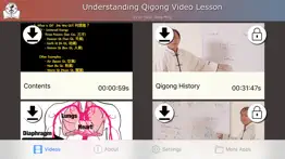 understanding qigong video iphone images 2