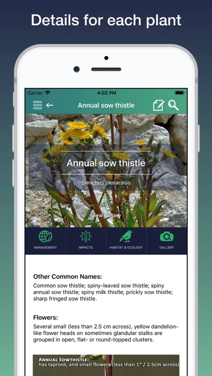 WeedsBMP screenshot-4