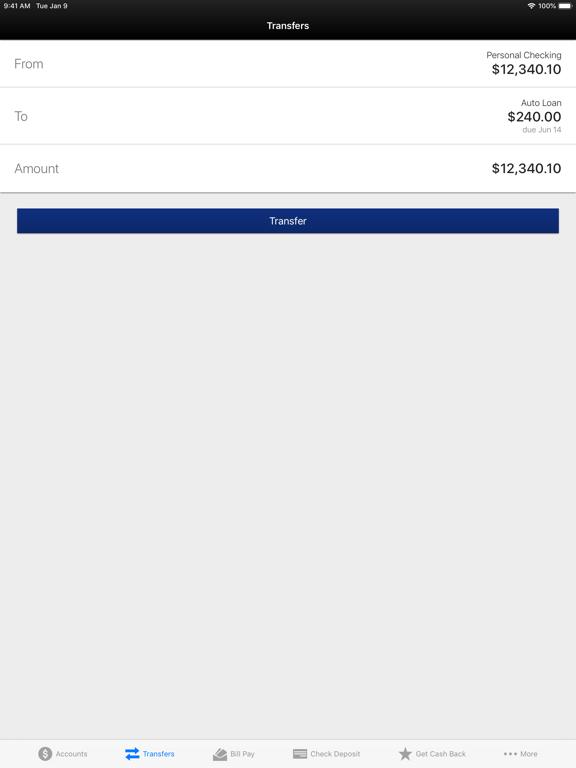 Town of Hempstead EFCU Mobile iPad screenshot 4 - Finance app