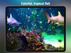 Aquarium Live HD+ iPad image 3