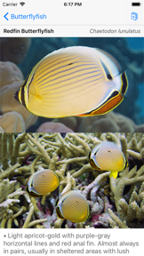 Palmyra Atoll Nature Guide screenshot