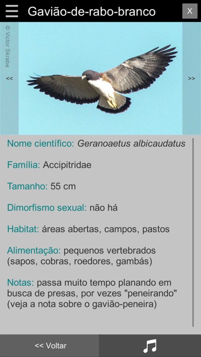 Guia Aves da Região Bragantinaのおすすめ画像9