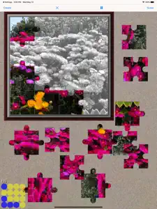 Jigsaw Puzzle Maker for iPad L screenshot #1 for iPad