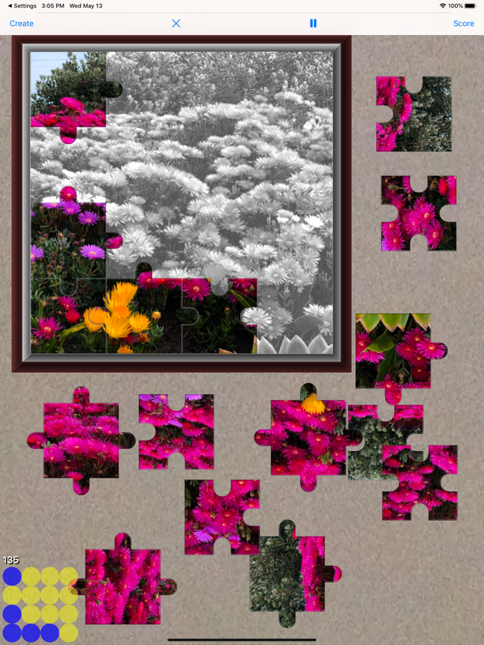 Jigsaw Puzzle Maker for iPad L