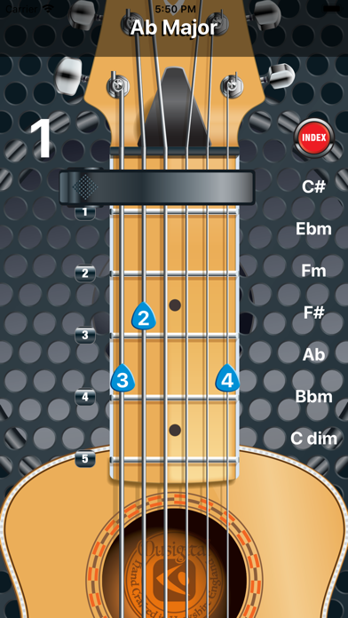 Screenshot #1 pour Capo Acoustic S