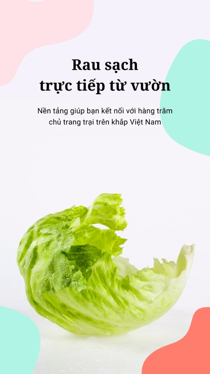 FarmOi: Rau sạch từ vườn