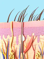 my skin anatomy ipad resimleri 1
