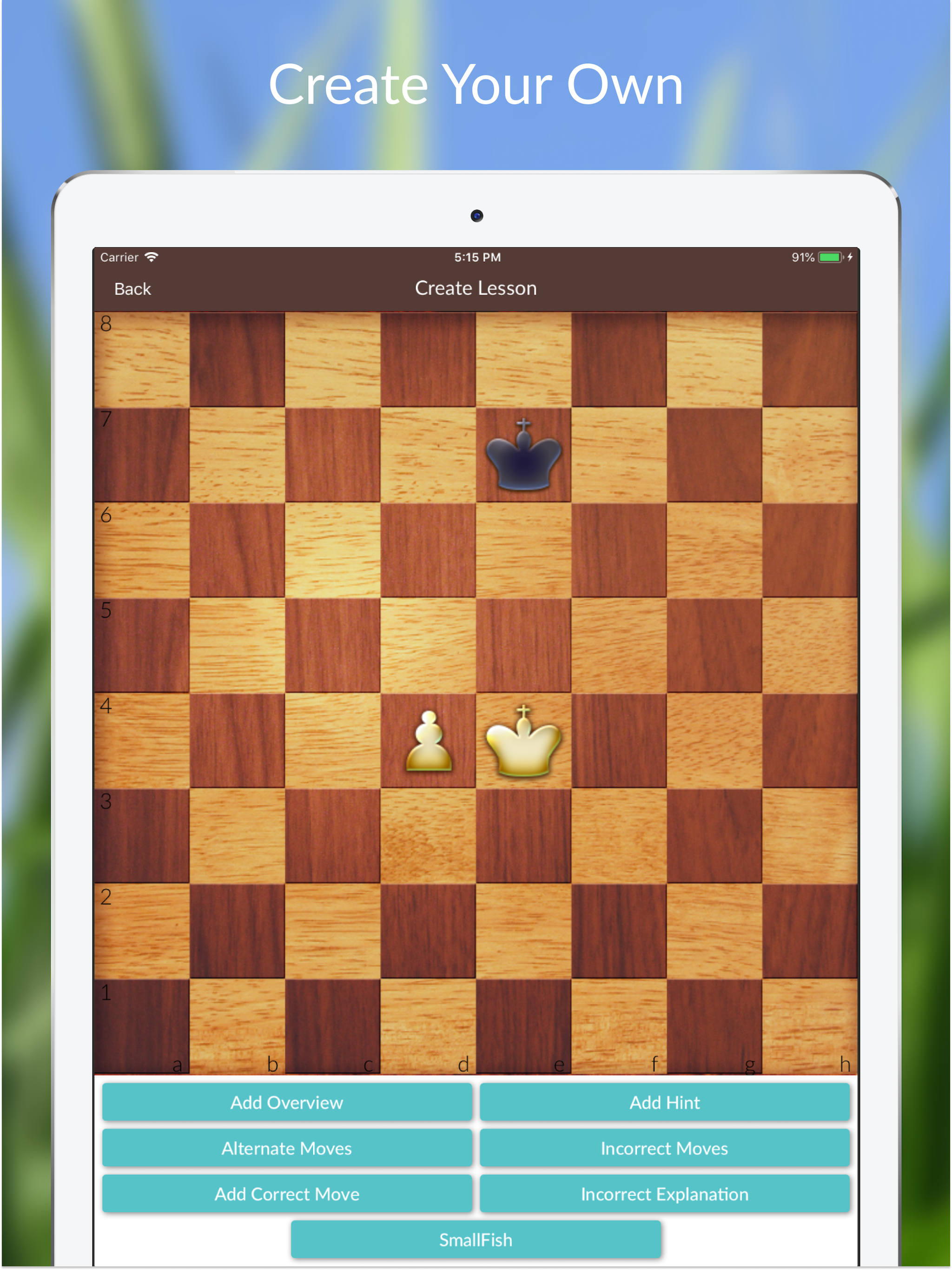 Chess Tactics and Lessons