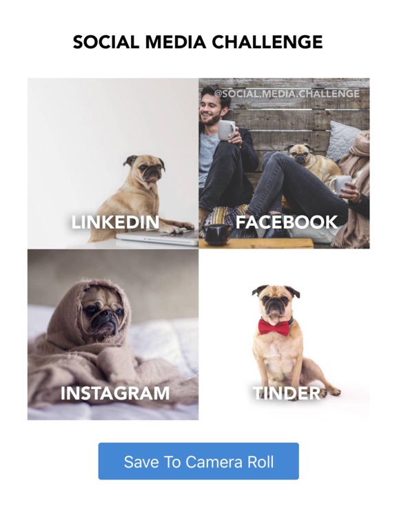 Screenshot #4 pour Social Media Challenge