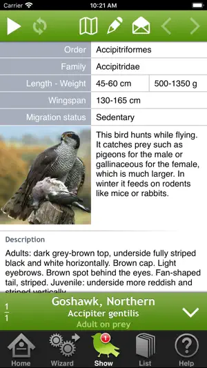 Birds of Britain and Europe screenshot 2