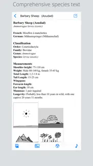 stuarts european mammals iphone images 2
