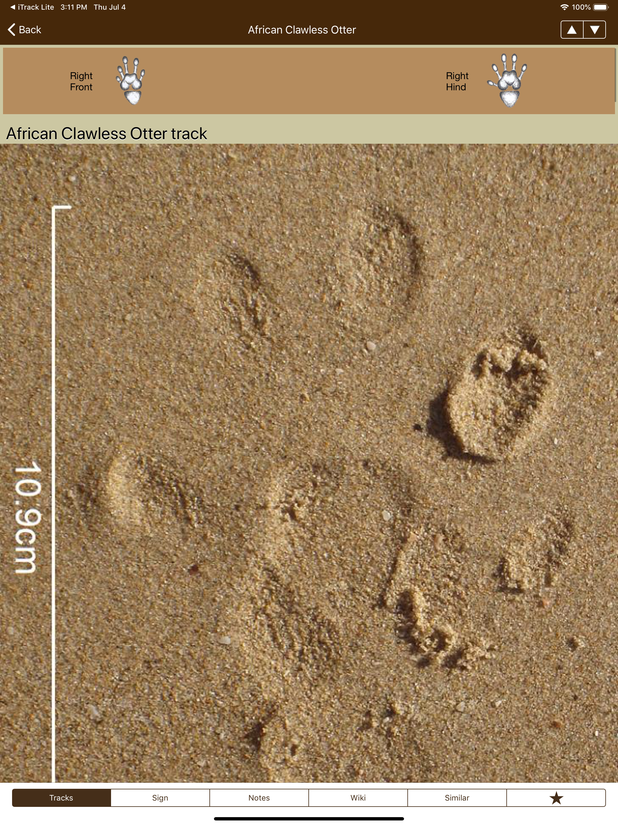 iTrack Africa