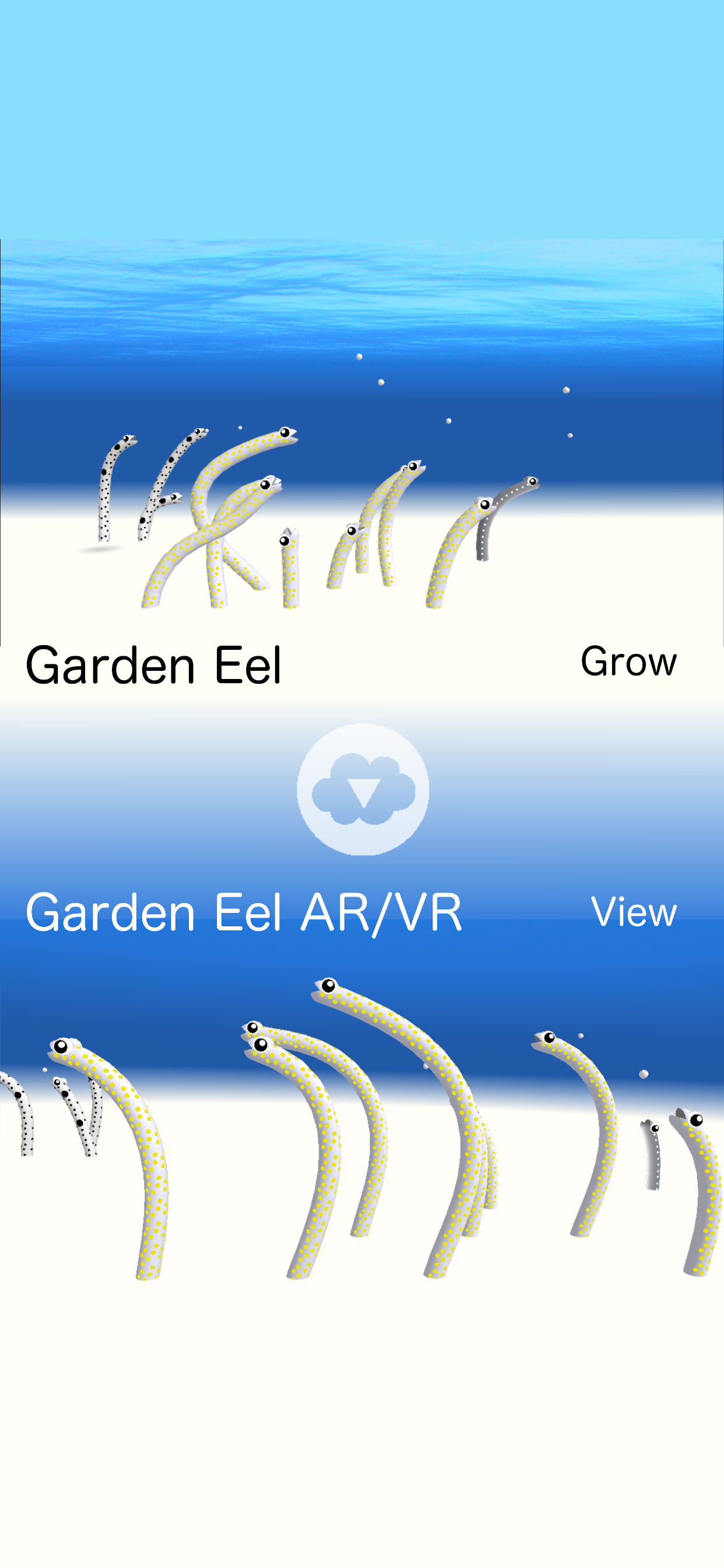 Garden Eel