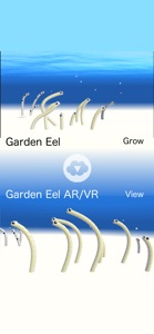 Garden Eel screenshot #5 for iPhone
