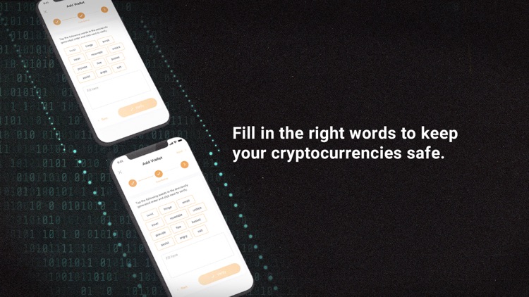 XcelPay - Secure Crypto Wallet screenshot-0