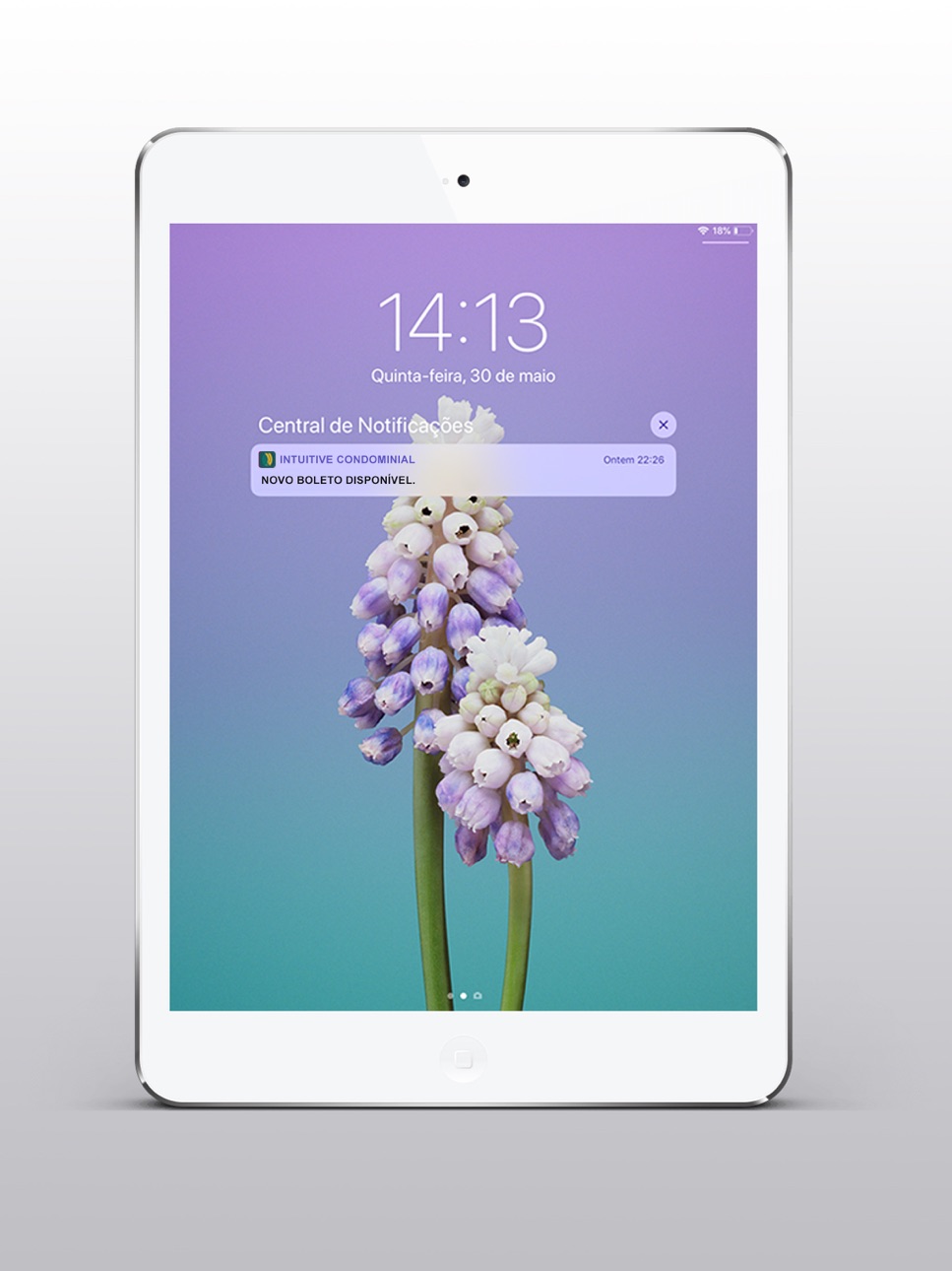 iPad screenshot