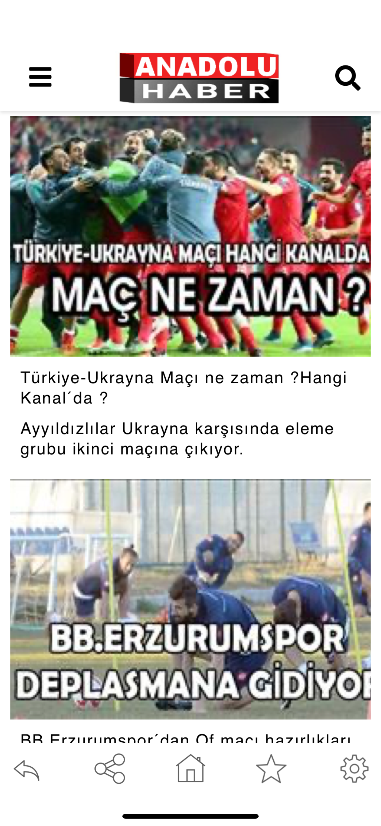 Anadolu Haber screenshot 3