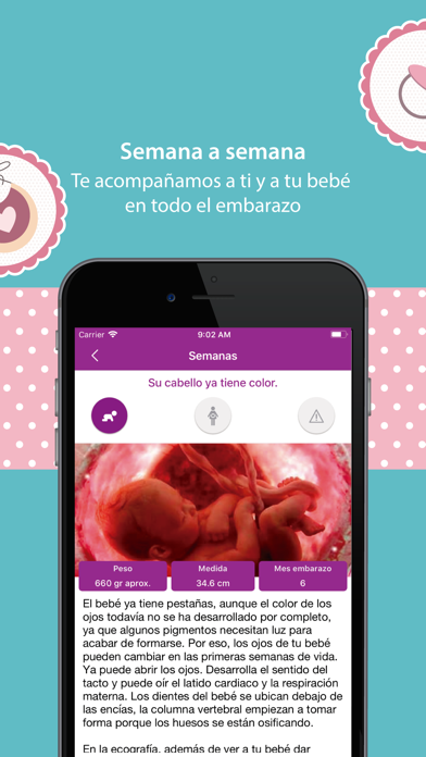 Screenshot #3 pour Embarazo Semana a Semana