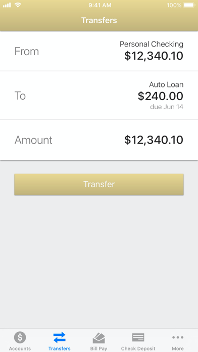 SJN Bank of Kansas Screenshot