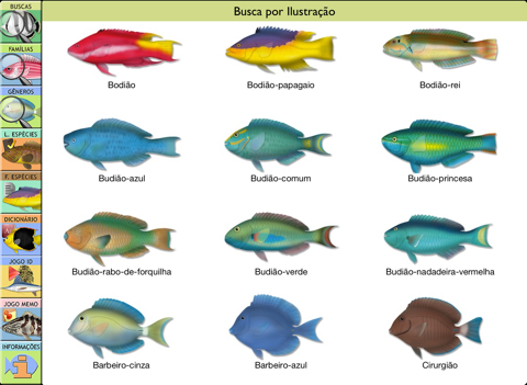 Marine Fishes screenshot 2