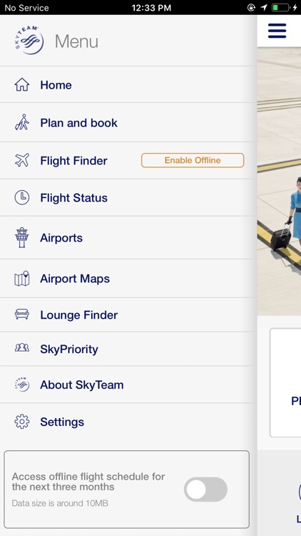 SkyTeam Mobile