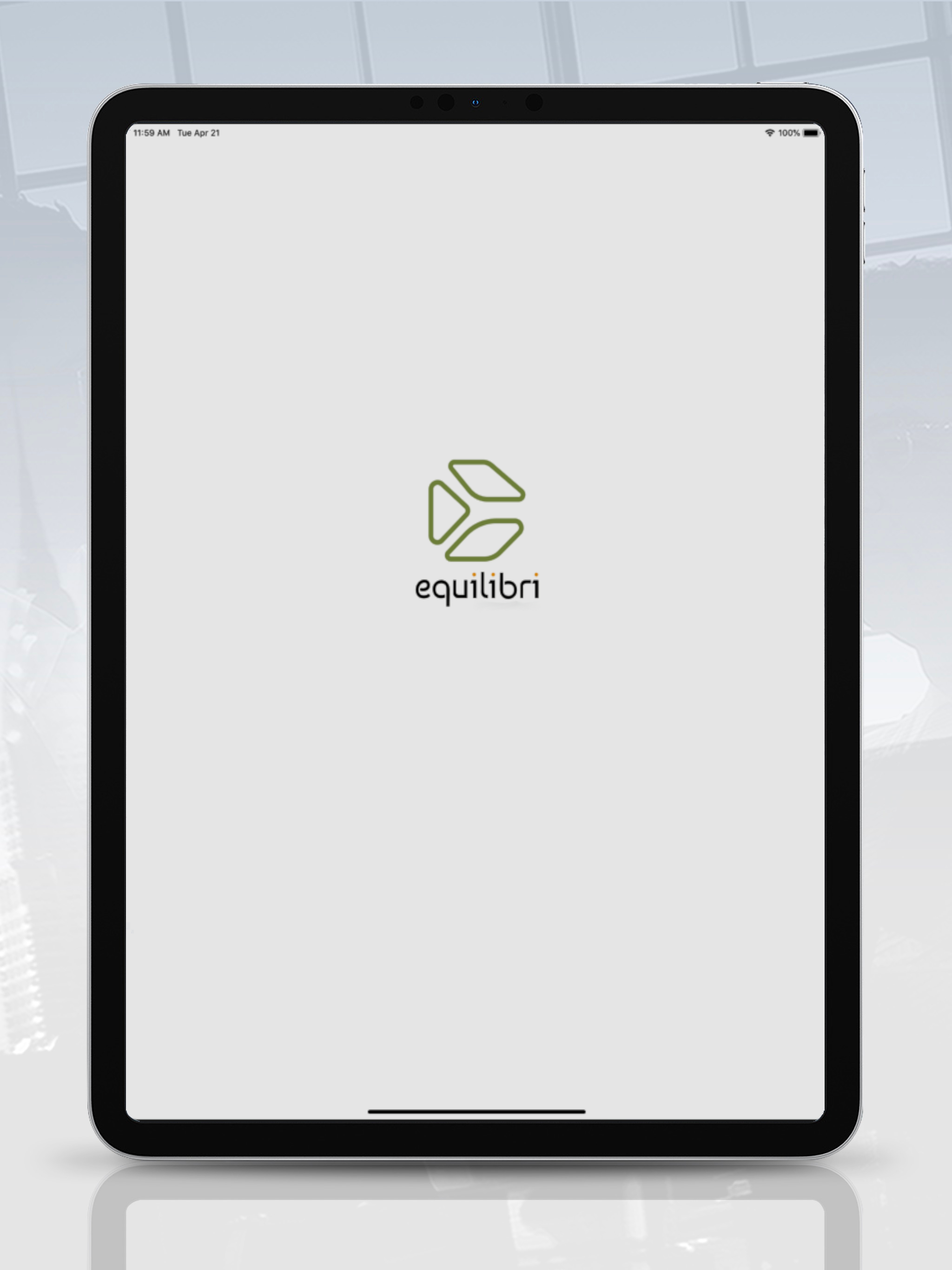 Equilibri screenshot 6