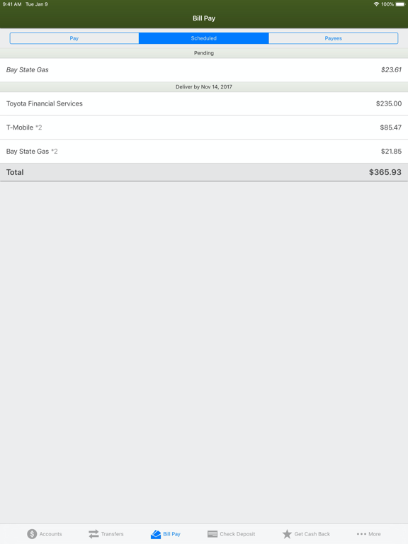 Argent Mobile Banking iPad screenshot 6 - Finance app