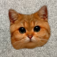Meow - Cat Sounds pour PC