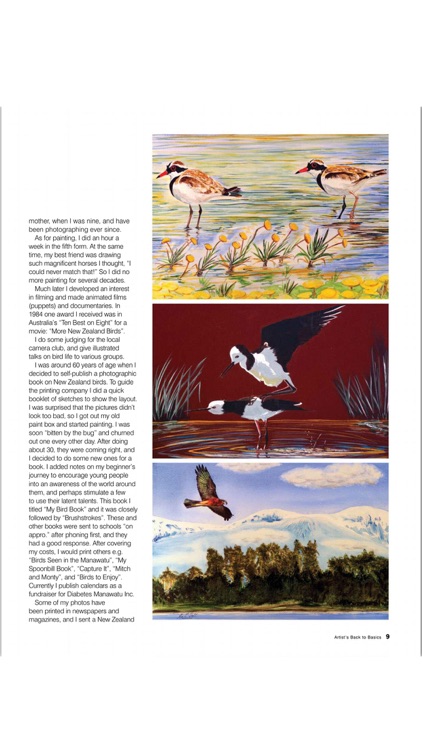 Artist's Back to Basics