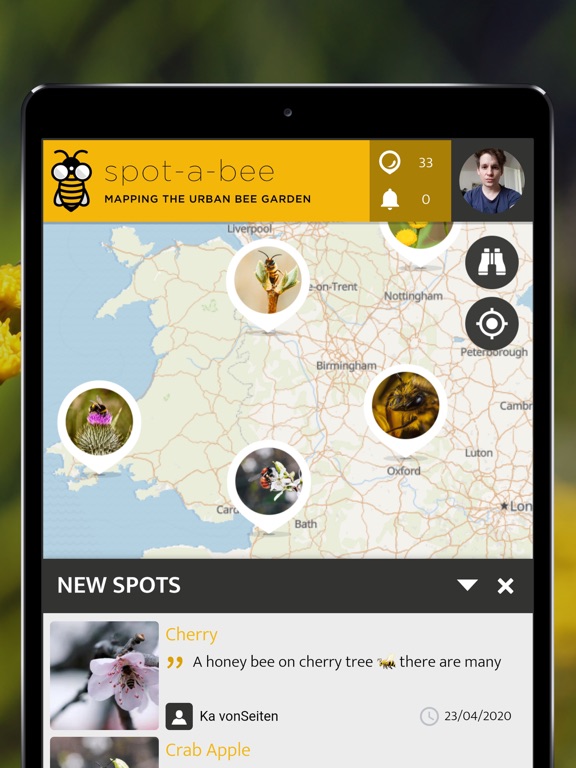 Screenshot #6 pour Spot-a-Bee | SPOTTERON