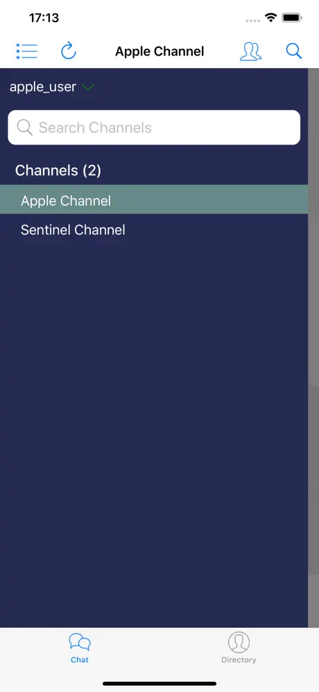 Sentinel Chat Channels
