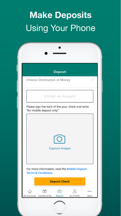 WSECU Mobile Banking Screenshot
