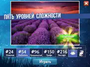 magnetic jigsaw айпад изображения 4