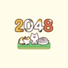 2048CatWalking