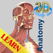 3D Anatomy Learning