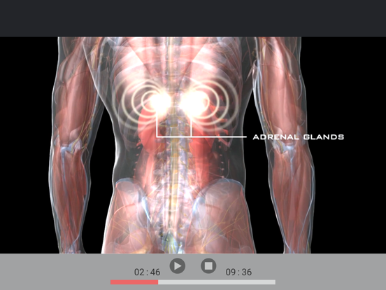 Screenshot #5 pour Ice - Your Body Belongs to You