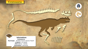 Dinosaures et Paléontologie screenshot