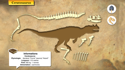 Screenshot #1 pour Dinosaures et Paléontologie