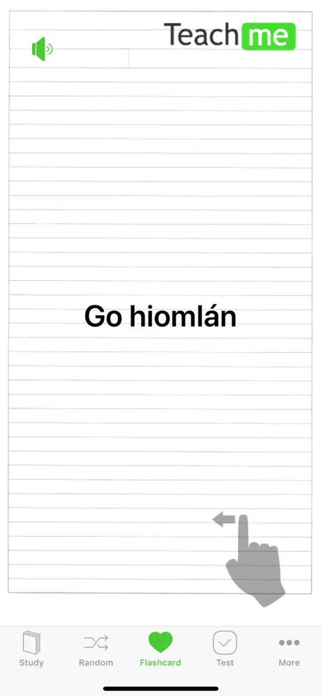 Teach Me Irish Gaelic