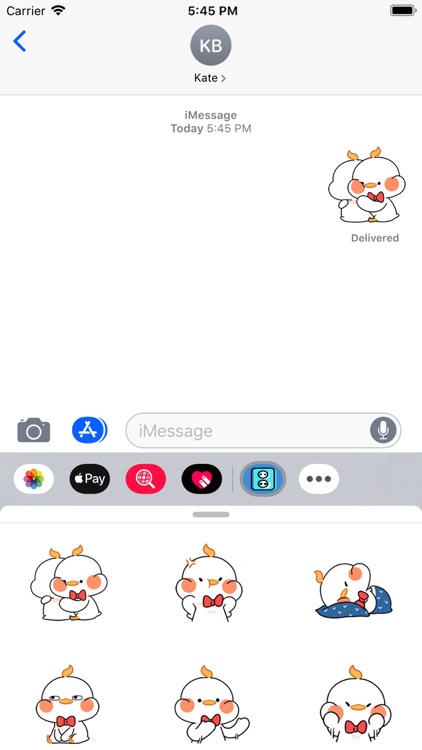 Cute fat chicken expression