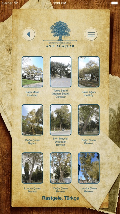 Anıt Ağaçlar - Anadolu