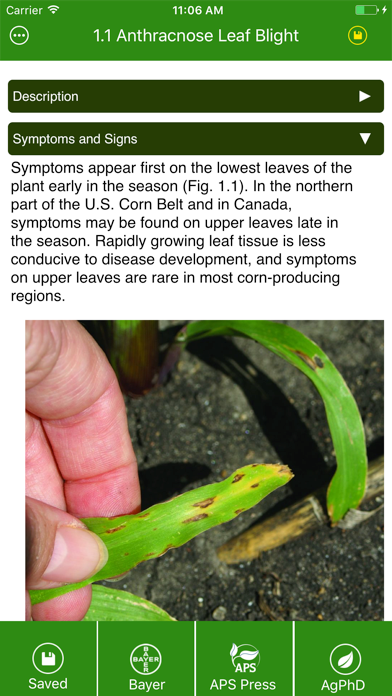 Corn Diseases iPhone screenshot 5 - Reference app